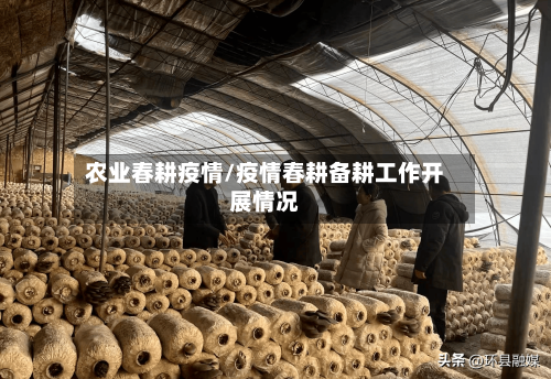 农业春耕疫情/疫情春耕备耕工作开展情况