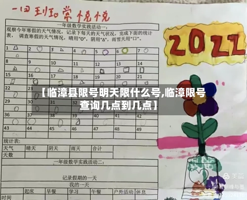 【临漳县限号明天限什么号,临漳限号查询几点到几点】-第1张图片