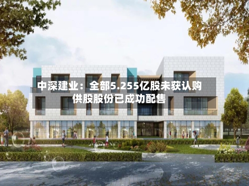 中深建业：全部5.255亿股未获认购供股股份已成功配售-第1张图片