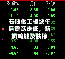 石油化工板块午后震荡走低,新凤鸣触及跌停