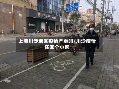 上海川沙地区疫情严重吗/川沙疫情在哪个小区