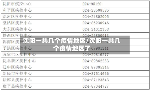 沈阳一共几个疫情地区/沈阳一共几个疫情地区了