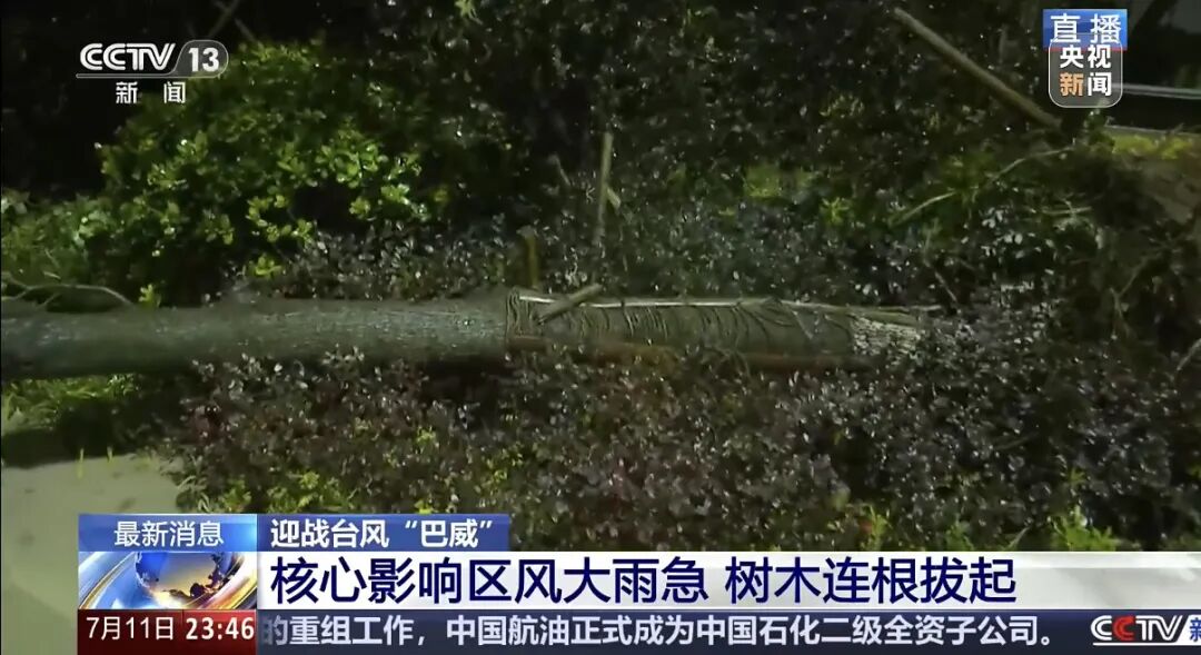 “巴威”最新路径公布！0时在浙江乐清二次登陆，5时减弱为强热带风暴	，中心最大风力11级